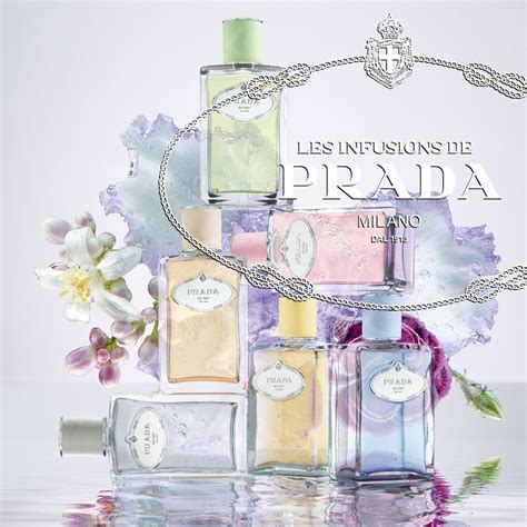 prada infusion d'iris similar